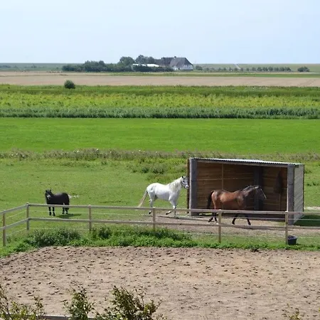 South In Haus Luettmoor Nordstrand