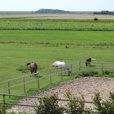 South In Haus Luettmoor 3* Nordstrand